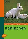 Kaninchen (Ratgeber Nutztiere)