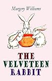 The Velveteen Rabbit illustrated (English Edition)