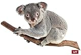 1art1 Koalas Ich Hänge Hier Nur Rum, Koala Auf Einem AST Wand-Tattoo | Deko Wandaufkleber für Wohnzimmer Kinderzimmer Küche Bad Flur | Wandsticker für Tür Wand Möbel/Schrank 100x60 cm