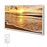 Hocosyme Infrarotheizung Bild 1000 Watt, Infrarotheizung Wandmontage mit Thermostat,Wochentimer - Elektroheizung mit Überhitzungsschutz - TÜV - S