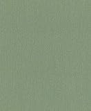 Rasch Tapeten Vliestapete (universell) Grün 10,05 m x 0,53 m BARBARA Home Collection II 537178