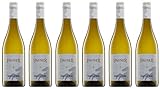 6x Pauser Wega Sauvignon Blanc feinherb 2021 - Weingut Pauser, Rheinhessen - Weißwein