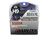 MARUTA SUPER WHITE H9 12V 65W Halogenlampe für Scheinwerfer, Fern-, Nebel-, Tagfahrlicht, 5500K Xenon-Effekt, langlebige Xenon-Gas Birne mit hochwertigem Quarzglas & Straßenzulassung (ECE Prüfzeichen)
