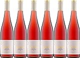 Wein- und Sektgut Braun Spektrum Cuvée rosé 2022 Feinherb (6 x 0.75 l)