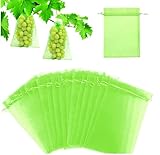 Grape Protection Bags 20 x 30 cm,60 pcs Fruit Protection Bags,Insect Net, Barrier Bag, Mesh Bag, Garden Mesh Bag Protection Against Cherry Vinegar Fly Wasps and Birds (Moss Green)