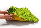 naturewalls Moosbild - Mooswand - Flexible Selbstklebende Moosplatte aus echtem Islandmoos - lebendes grünes Pflanzenbild - Moosmatte 25x25cm