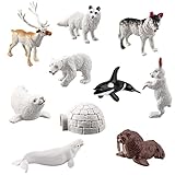 20 Stück Arktische Tierfiguren, Mini arktische Tiere Spielzeug Set Realistische Tierfiguren Kunststoff für Kleinkinder 1-2 Zoll Kunststoff arktische Tundra Hirsche Spielzeugtier Kinder Diorama