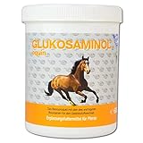 NutriLabs Glukosaminol equin Pulver zur Unterstützung der Gelenke von heranwachsenden Pferden, mit Glucosamin, Antioxidantien und Schwefel, 600 g