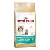 ROYAL CANIN Maine Coon Kätzchen, 4 kg