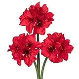 Oairse 3er-Set Kunstblumen Clivia mit 4 Blütenköpfen Seidenblumenstrauß für Weihnachten, Zuhause, Tischdekoration, Hochzeitsfeier-Arrangements, Esstisch-Mittelstück, Neujahrs-Ornamente, R