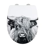 WENKO WC-Sitz Yak mit Hochglanz-Oberfläche, Toilettendeckel mit Absenkautomatik, bruchstabiler, recycelbarer Thermoplast, Schnellbefestigung aus rostfreiem Edelstahl, ‎45 x 36.5 x 6 cm, Yak-M