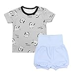 TupTam Baby Jungen Sommer Bekleidung T-Shirt Shorts Set, Farbe: Zebra Grau/Blau, Größe: 92-98