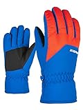 Ziener Kinder Lando Glove junior Ski-Handschuhe/Wintersport, true blue, 7.5 (XL)