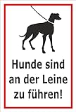 Melis Folienwerkstatt Schild - Hunde an Leine führen - 30x20cm | 3mm Aluverbund – S00216-003-B -20 VAR.