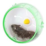 OmeHoin Laufrad für Kleintiere aus Kunststoff, 17,3 cm, geräuschlos, rutschfest, für Hamster, Igel, kleine Haustiere, Hamsterrad, Grün