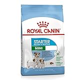 ROYAL CANIN Mini Starter Mother & babydog, 1er Pack (1 x 1 kg)