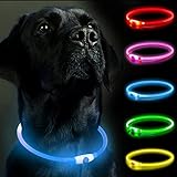Leuchthalsband Hund, SerDa-Run Leuchthalsband für Hunde Aufladbar, Hundehalsband Leuchtend LED Halsband für Hunde Einstellbare Größe Lichtmodi Sicherheit für Ihren Hund in der Nacht (Blau)