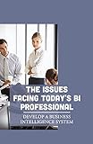 The Issues Facing Today's BI Professional: Develop A Business Intelligence System: Bi Planning And Execution (English Edition)