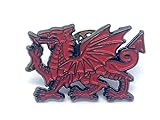 Patch Nation Walisischer Wales-Drache Metall Button Badge Pin Pins Anstecker Cosplay Brosche