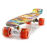 FANTECIA 22' Zoll komplettes Mini Kunststoff Skateboard, Cruiser Skateboard für Kinder Alter 6-12, Skateboard für Jugendliche/Anfänger/Kinder.