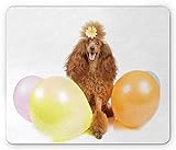 NA Pudel-Mauspad, Party mit Hund eine Blume auf dem Kopf Bunte Luftballons, Rechteck rutschfestes Gummi-Mauspad, Standardgröße, Hellorange Pastellgelb und Mehrfarbig