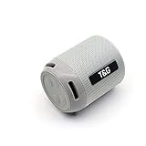 EASY SPEED Mini-Lautsprecher mit Bluetooth bis zu 10 Meter Reichweite (TG129 Grau)