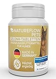 Gelenktabletten Hund - TESTSIEGER Made in Germany Gelenktabletten für Hunde mit Grünlippmuschel Hund, MSM und Teufelskralle - Keine Kapseln, hohe Akzeptanz beim Hund - 100 Stück für bis zu 6 Monate
