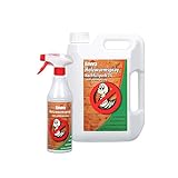 Envira Holzwurm-Spray - Holzwurm Ex Gegen Holzschädigende Insekten Mit Langzeitschutz - Auf Wasserbasis - 500 ml + 2L