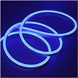 XUNATA 5m Neon LED Streifen Blau, 220V 2835 120leds/m IP65 Wasserdichte, Diffusion Flex LED Schlauch für Heim DIY Festival Dekoration