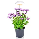 0℃ Outdoor Pflanzenlampe LED 20w, Pflanzenlicht Vollspektrum Grow Light für Zimmerpflanzen Höhenverstellbarer Automatischer Timer 3 Lichtmodi & 5-stufige Helligkeit für Pflanzenanbau zu Hause