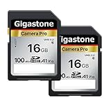 Gigastone Kamera Pro 16 GB SDHC Speicherkarte 2er-Pack mit bis zu 100 MB/Sek. für Digitalkameras Canon Sony Nikon Olympus, Full HD Videoaufnahmen UHS-I U1 V10 Klasse 10