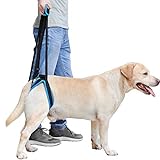 Laufgeschirre für die Hinterbeine, Hilft beim Anheben der Hinterbeine, Unterstützt ältere, Verletzte, Kranke und Behinderte Hunde (S)