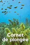 Carnet de plongée: Journal de plongée / Journal de plongée sous-marine / 120 pages ( 240 plongées à remplir ), 6x9 pouces / Scuba Diving Logbook / ... gap /carnet de plongée padi -Noter et Analyse