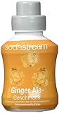 SodaStream Sirup Ginger Ale, Ergiebigkeit: 1x Flasche ergibt 9 Liter Fertiggetränk, Sekundenschnell zubereitet und immer frisch, 375 ml, blau