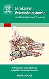 Lernkarten Veterinäranatomie/Veterinary Anatomy Flash Cards: Nach Nomina Anatomica Veterinaria. Schnell lernen und wiederholen mit perfekt illustrierten Lernkarten