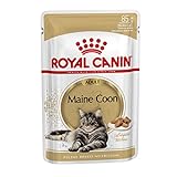ROYAL CANIN, Maine Coon Adult