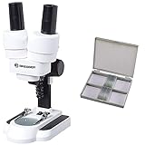 Bresser Junior Stereo 3D Mikroskop ICD-Pro mit 20x und 50x Vergrößerung für Kinder und Erwachsene & Dauerpräparate für Mikroskop (25 Stück), vorgefertigte und konservierte Präparate