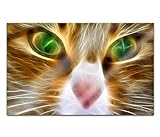 Acrylglasbilder 80x50cm Katze cartoon Tier Augen Gesicht abstrakt Acryl Bilder Acrylbild Acrylglas Wand Bild 14H1599