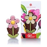 Spring Little Daisy - Gänseblümchen aus Schokolade | Geschenk | Geschenkidee | Frauentag | Geburtstag | Weihnachten | Ostern | Mann | Frau | Kind | Valentinstag | Schokoladenfiguren | Valentinstag