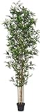 Bamboo Bambus – Baum mit echten Baumstämme Außenbeleuchtung Außen UV-beständig – Zertifikat TUV – Hoch 245