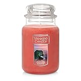 Yankee Candle Cliffside Sunrise Duftkerze im Glas, 625 ml, mit einem Docht, über 110 Stunden B