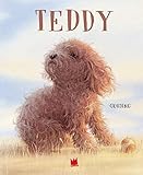 Teddy: Bilderbuch