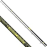 Black Cat Premium Welsrute Perfect Passion XH-S Angelrute vielseitig Einsetzbar mit IM6 Blank Wels Angeln Wallerrute in 5 Längen, Schwarz-Gelb, 3,20 m