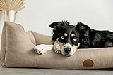 Hund&Glück Hundebett DogsForNature aus recyceltem, orthopädischem Material (XL, Sandbeige)