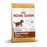Royal Canin Royal Canin Club Breed Dachshund 30 Junior 1,5kg