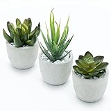 DEZORI Kunstpflanzen [3er Set] - Künstliche Pflanzen mit grauem Topf und weißen Steinen - Künstliche Sukkulenten - Deko Pflanzen - Schreibtisch Deko