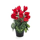 artplants.de Kunstblume Alpenveilchen Heidi im Topf, 12 Blüten, rot, 25cm - Künstliche Blumen - Dekoblumen Cyclamen