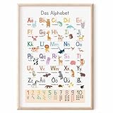 MeinBaby123® XL ABC Lernposter Grundschrift für Kinder (GS) | Buchstaben Laute von A - Z | Alphabet ABC | geeignet für Kindergarten, Vorschule, Grundschule (Lernposter Tiere A2)