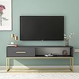 moebel17 Mira TV Lowboard Sideboard Fernsehtisch Board stehend, Anthrazit Gold mit Gestell aus Metall, Holz, mit Tür viel Stauraum, für Wohnzimmer, Designerstück,160 x 60 x 35 cm, 9222