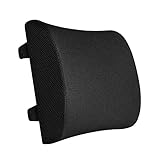 GVFKGD Lendenwirbelstützkissen für Stuhl und Auto-Rückenstütze für Bürostuhl Memory Foam Kissen mit Netzbezug zur Linderung von Rückenschmerzen